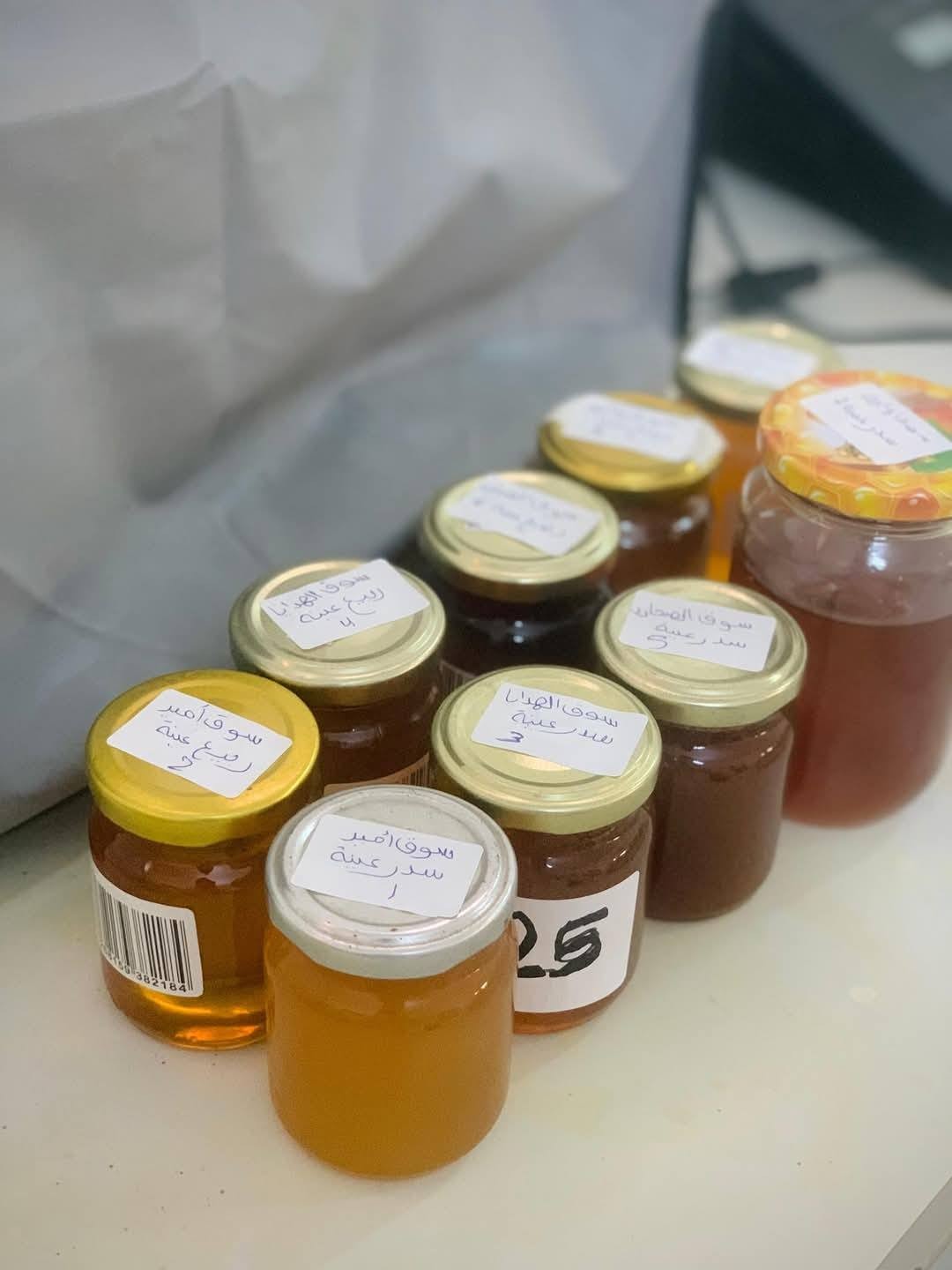 نشاطات معملية علمية